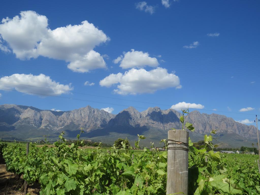 Seven Oaks Vineyard Cottages Wolseley Exteriér fotografie