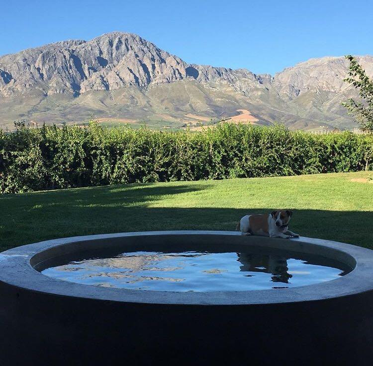 Seven Oaks Vineyard Cottages Wolseley Exteriér fotografie